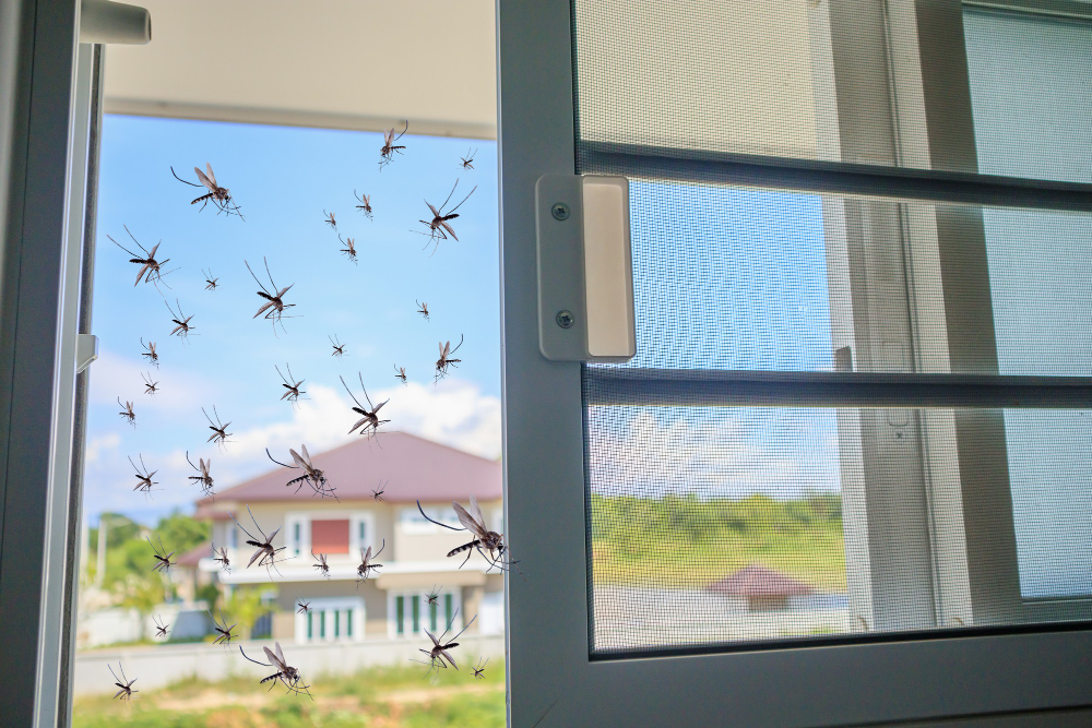 Komarniki so okolju prijazna in učinkovita zaščita pred insekti, cvetnim prahom in alergeni – hkrati pa omogočajo svež zrak in svetlobo.